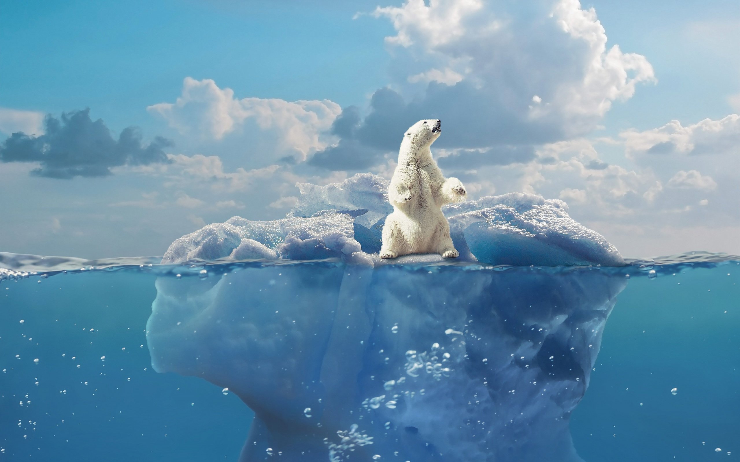 Белый медведь на айсберге
