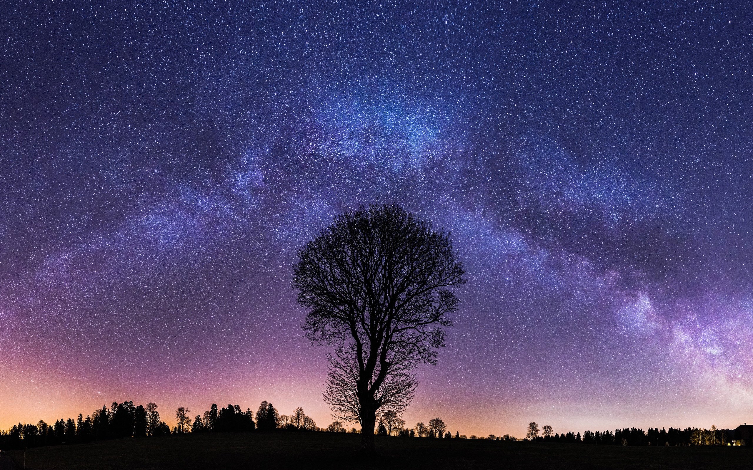 Обои ночь, дерево, звезды, млечный путь, night, tree, stars, the milky way разрешение 3840x2160 Загрузить