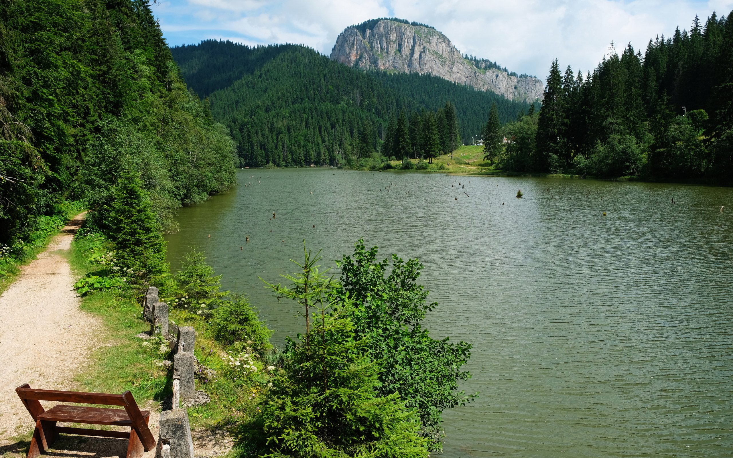 Обои озеро, горы, лес, скамейка, румыния, red lake, lake, mountains, forest, bench, romania разрешение 3264x2176 Загрузить