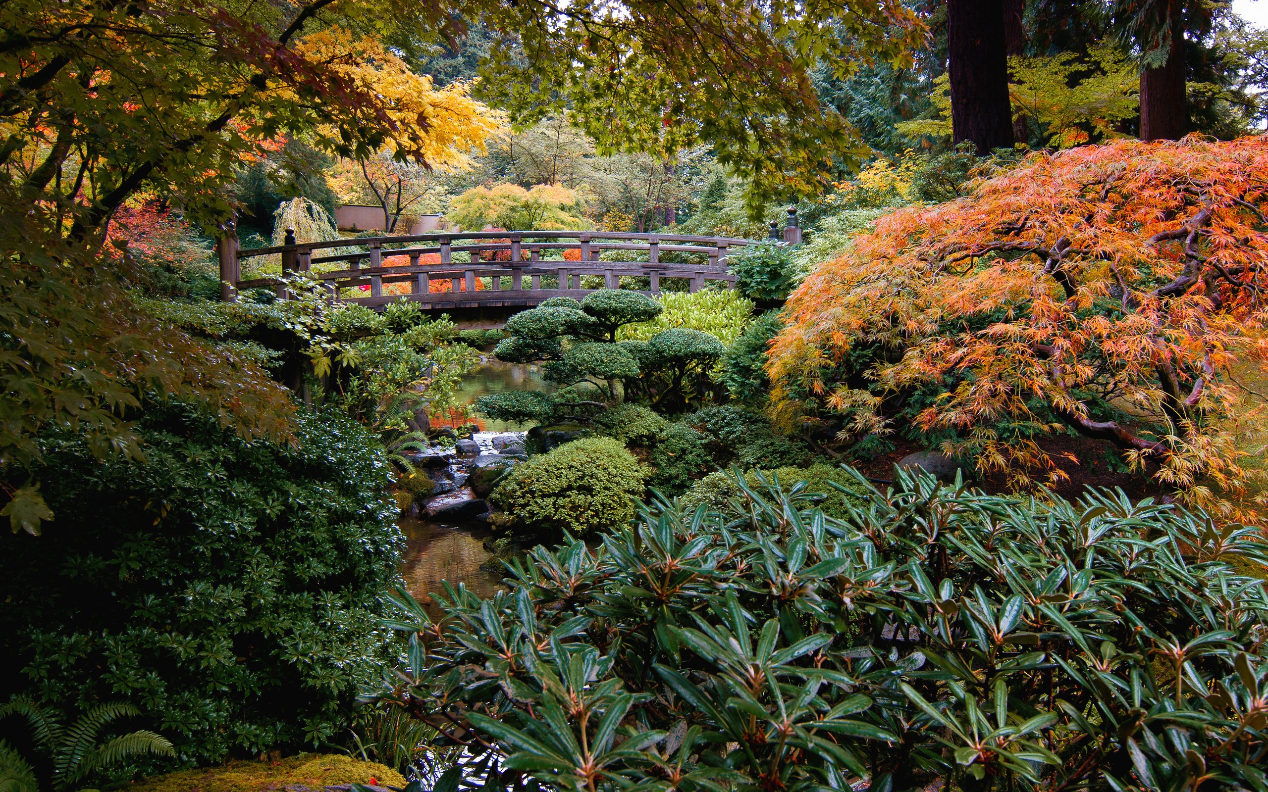 Обои природа, ручей, кусты, мост, сад, сша, японский сад, portland japanese garden, nature, stream, the bushes, bridge, garden, usa, japanese garden разрешение 3957x2507 Загрузить