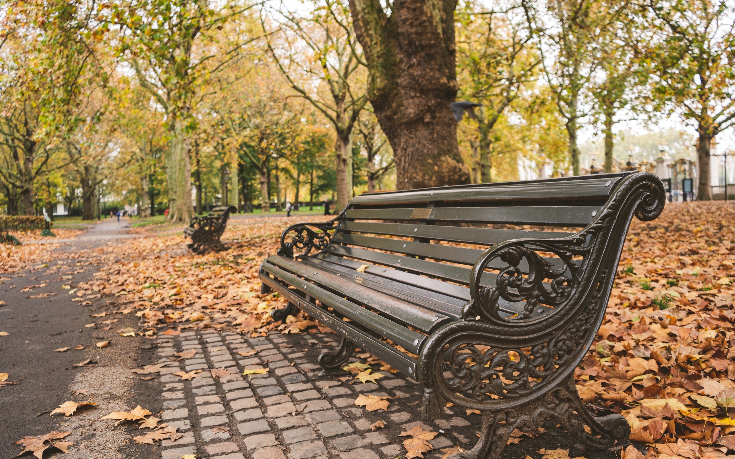 Обои деревья, листья, парк, осень, скамейка, trees, leaves, park, autumn, bench разрешение 6000x4000 Загрузить