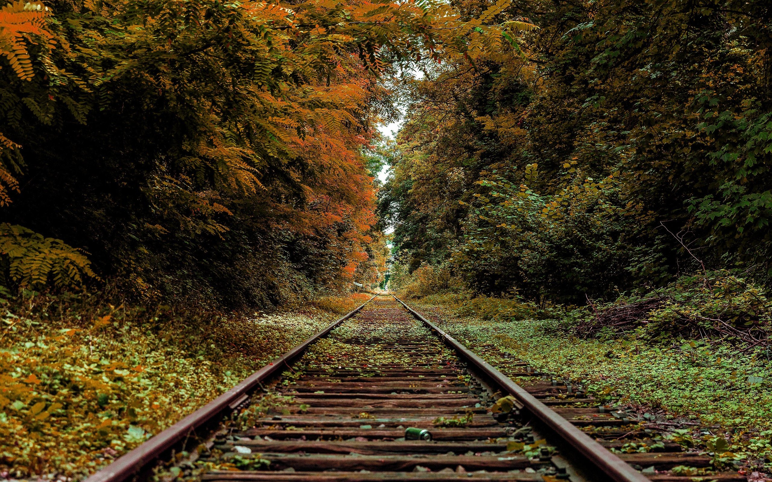 Обои железная дорога, рельсы, осень, railroad, rails, autumn разрешение 3840x2160 Загрузить