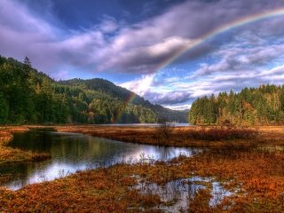 Обои облака, лес, радуга, clouds, forest, rainbow разрешение 1920x1200 Загрузить