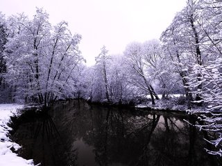 Обои деревья, вода, река, снег, природа, лес, зима, фото, trees, water, river, snow, nature, forest, winter, photo разрешение 2560x1600 Загрузить