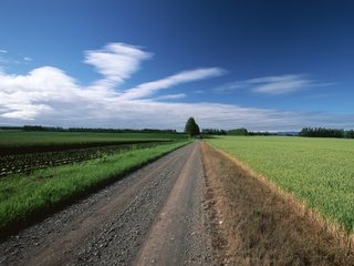 Обои дорога, облака, деревья, поле, road, clouds, trees, field разрешение 1920x1440 Загрузить