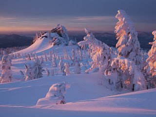 Обои снег, природа, лес, закат, зима, snow, nature, forest, sunset, winter разрешение 1920x1200 Загрузить