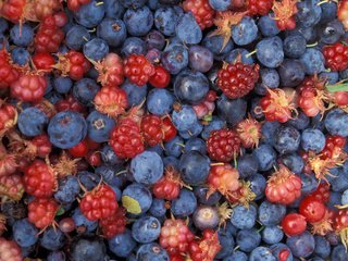 Обои малина, еда, ягоды, лесные ягоды, черника, raspberry, food, berries, blueberries разрешение 2400x1600 Загрузить