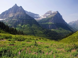 Обои горы, лес, луг, mountains, forest, meadow разрешение 1920x1200 Загрузить