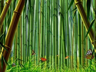 Обои трава, бамбук, бабочки, grass, bamboo, butterfly разрешение 2400x1565 Загрузить