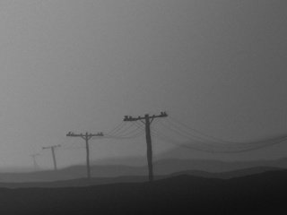 Обои провода, столбы, черно-белая, серый, wire, posts, black and white, grey разрешение 2560x1600 Загрузить