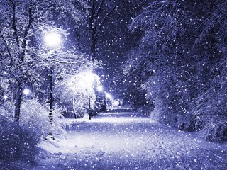 Обои ночь, деревья, фонари, снег, зима, парк, night, trees, lights, snow, winter, park разрешение 4820x3421 Загрузить