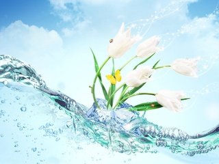 Обои цветы, вода, бабочка, лёд, flowers, water, butterfly, ice разрешение 1920x1200 Загрузить