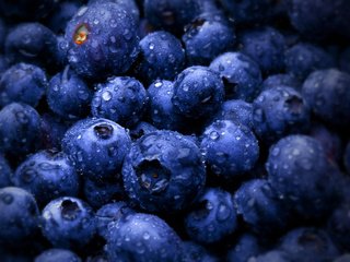 Обои ягоды, черника, bilberries, berries, blueberries разрешение 2560x1600 Загрузить