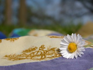 Обои природа, ромашка, ткань, нашивка, nature, daisy, fabric, patch разрешение 1920x1200 Загрузить