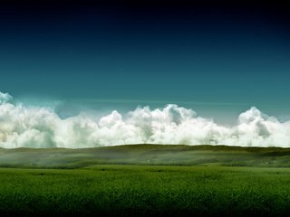 Обои небо, трава, поле, небеса, the sky, grass, field, heaven разрешение 2560x1600 Загрузить