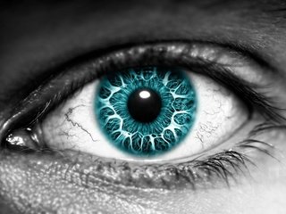 Обои цвет, черно-белая, глаз, зрачок, color, black and white, eyes, the pupil разрешение 2560x1600 Загрузить