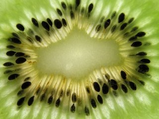 Обои фрукт, киви, fruit, kiwi разрешение 2560x1920 Загрузить