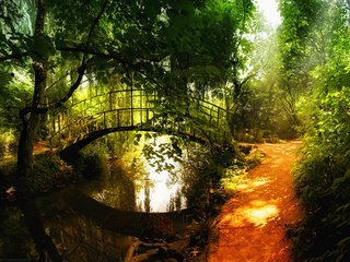 Обои мостик, лес, отражение, речка, the bridge, forest, reflection, river разрешение 1920x1200 Загрузить