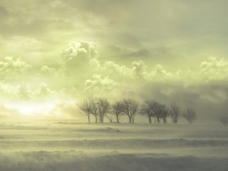 Обои облака, деревья, снег, clouds, trees, snow разрешение 1920x1200 Загрузить