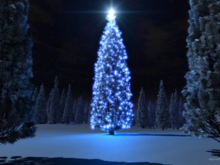 Обои ночь, елка, фонарики, night, tree, lanterns разрешение 1920x1200 Загрузить