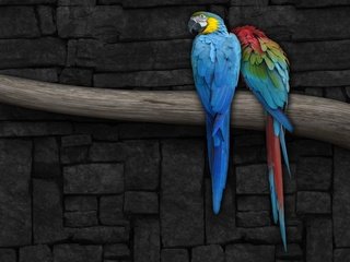 Обои рисунок, ветка, стена, попугай, figure, branch, wall, parrot разрешение 1920x1200 Загрузить