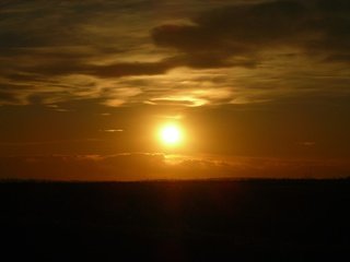 Обои солнце, закат, степь, the sun, sunset, the steppe разрешение 2592x1944 Загрузить