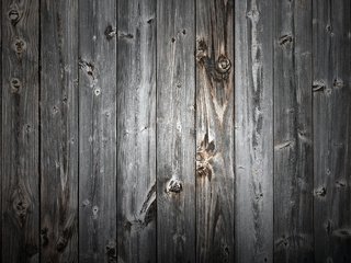 Обои дерево, текстура, дверь, доски, сарай, tree, texture, the door, board, the barn разрешение 2560x1600 Загрузить