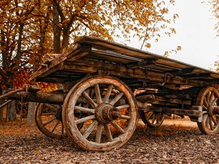 Обои осень, старый, повозка, autumn, old, wagon разрешение 1920x1200 Загрузить