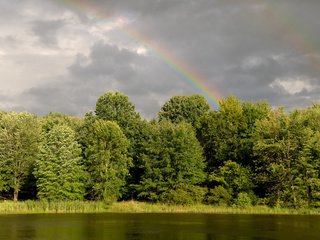 Обои деревья, вода, река, зелень, лес, радуга, trees, water, river, greens, forest, rainbow разрешение 1920x1200 Загрузить