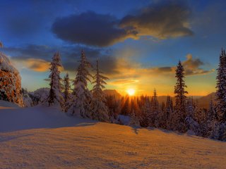 Обои небо, елки, облака, снег, природа, лес, закат, зима, красота, the sky, tree, clouds, snow, nature, forest, sunset, winter, beauty разрешение 1920x1080 Загрузить