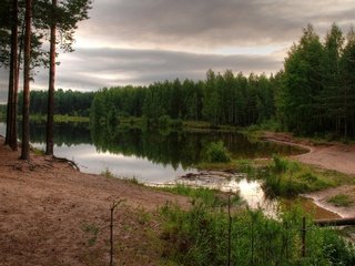 Обои небо, лес, водоем, the sky, forest, pond разрешение 2560x1600 Загрузить