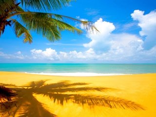 Обои облака, море, песок, пляж, пальма, тропики, clouds, sea, sand, beach, palma, tropics разрешение 2560x1600 Загрузить