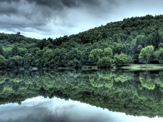 Обои вода, лес, отражение, water, forest, reflection разрешение 2560x1600 Загрузить