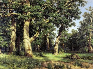 Обои картина, масло, шишкин, репродукция, холст, picture, oil, shishkin, reproduction, canvas разрешение 1920x1200 Загрузить