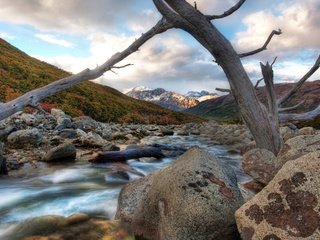 Обои река, горы, ветка, камни, river, mountains, branch, stones разрешение 2560x1600 Загрузить