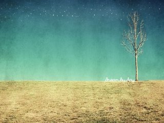 Обои дерево, текстура, поле, tree, texture, field разрешение 1920x1200 Загрузить