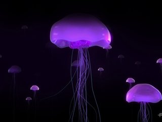 Обои свечение, медузы, glow, jellyfish разрешение 1920x1200 Загрузить