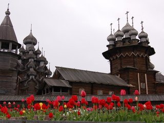 Обои цветы, крупный план, кижи, flowers, close-up, kizhi разрешение 3008x2000 Загрузить