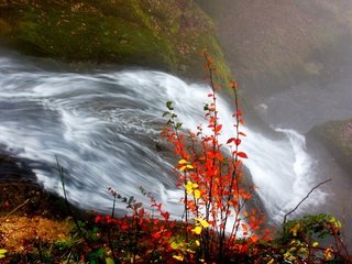 Обои река, листья, водопад, осень, river, leaves, waterfall, autumn разрешение 1920x1440 Загрузить