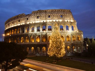 Обои елка, италия, колизей, рим, tree, italy, colosseum, rome разрешение 2000x1333 Загрузить