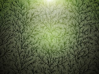 Обои растения, фон, ветки, plants, background, branches разрешение 1920x1200 Загрузить