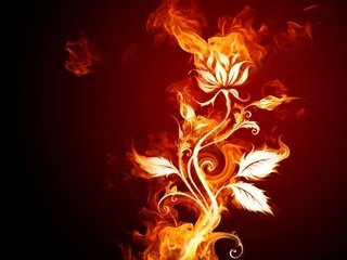 Обои цветок, огонь, flower, fire разрешение 1920x1440 Загрузить