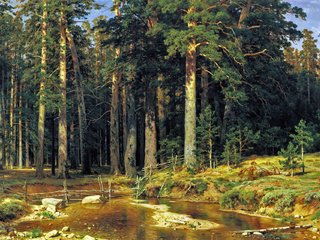 Обои лес, картина, шишкин, корабельный, forest, picture, shishkin, ship разрешение 2000x1279 Загрузить