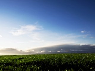 Обои небо, трава, облака, поле, the sky, grass, clouds, field разрешение 2560x1600 Загрузить