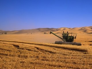 Обои поля, комбаины, урожай, field, kombain, harvest разрешение 2245x1200 Загрузить