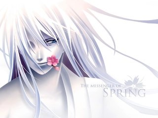 Обои цветок, парень, аниме, the messenger of spring, flower, guy, anime разрешение 2000x1400 Загрузить