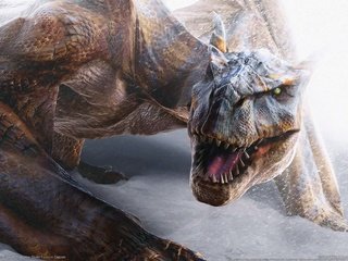 Обои снег, дракон, зубы, monster hunter 2, snow, dragon, teeth разрешение 1920x1200 Загрузить