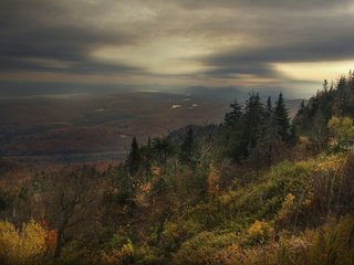 Обои лес, грусть, осень, forest, sadness, autumn разрешение 1920x1440 Загрузить