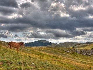 Обои лошадь, облака, холмы, horse, clouds, hills разрешение 1920x1200 Загрузить