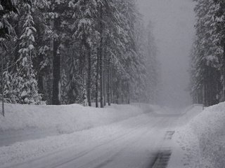 Обои дорога, снег, зима, ельник, road, snow, winter, spruce forest разрешение 2560x1024 Загрузить